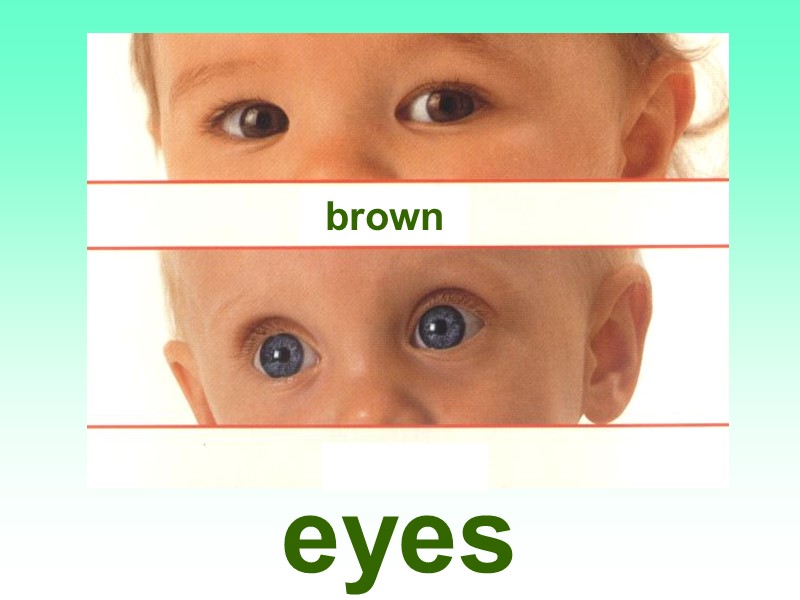 eyes brown